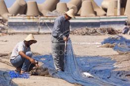 Image du Maroc Professionnelle de  Des ouvriers s'activent à réparer leurs filets de pêches au port de Laayoune, située à quelque kilomètre de la ville de Laayoune capitale du Sahara marocain, Vendredi 21 Septembre 2001. (Photo / Abdeljalil Bounhar) 